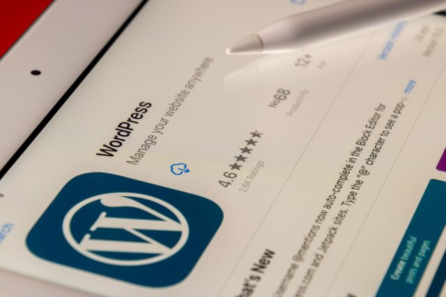 souvik-banerjee--WPrNEM_6dg-unsplash Blogging Info Image